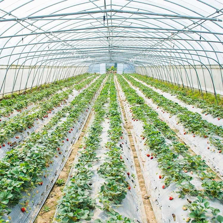 Сельское хозяйство